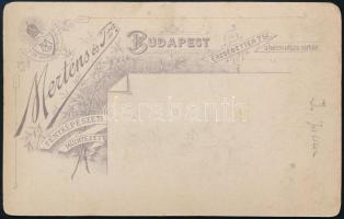 1891 Issekutz Gyula ezredes, mint  a császári és királyi 68. gyalogezred parancsnoka, egy évre rá Új...