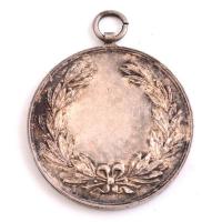 1896 "Vándorkedv" budapesti kerékpárkör fém érméje, d: 4 cm