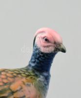 Ens porcleán fácán figura. Kézzel festett, jelzett, kis kopással. 8,5x5,5 cm