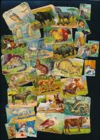 cca 1935 70 db színes litho képecske állatokról, gyermekeknek