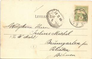 1904 Szerencs, Cukorgyár. Gönczy Mihály kiadása