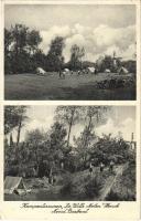 1938 Heesch, Noord Brabant, Kampeerterreinen De Witte Molen / scout camp / cserkésztábor (EK)