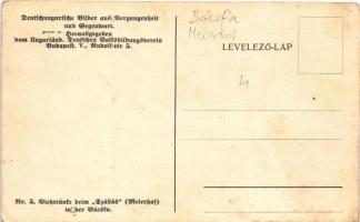 Bácska, Backa; Deutschungarische Bilder aus Vergangenheit und Gegenwart Nr. 5. Viehtränke beim &quot...