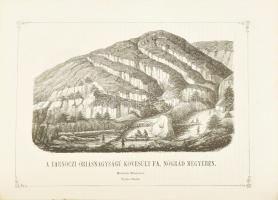 Magyarország és Erdély képekben. Kiadják és szerkesztik: Kubinyi Ferencz és Vahot Imre. I. és III. k...