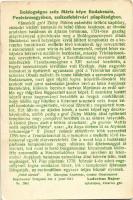 Budakeszi, Máriamakk, Makkosmária, a trinitárius templom romjai, a budakeszi templomban függő Mária-...