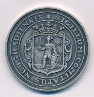 Bognár György (1944-) 1988. "MÉE Nógrád megye - Nógrádi várak sorozat - Buják vára" ezüstö...