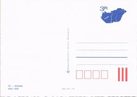 Budapest. Képzőművészeti Kiadó - modern díjjegyes