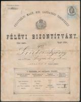 1875 Keszthelyi m. kir. gazdasági tanintézet bizonyítványa illetékbélyeggel
