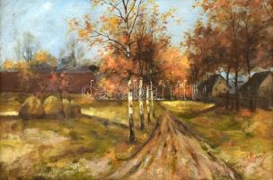 Mezey (?) Ilona jelzéssel: Faluszéle ősszel. Olaj, vászon, fa keretben. 24x35,5 cm