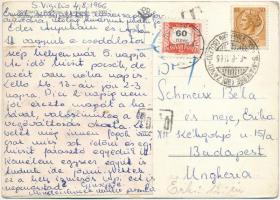 1966 Dolomiti, Tre Cime di Lavaredo / Dolomite, real mountain birch (Edelweiss flower) / Dolomitok, ...