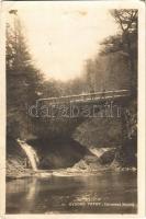 1929 Barlangliget, Höhlenhain, Tatranská Kotlina (Tátra, Magas-Tátra, Vysoké Tatry); fahíd / wooden bridge (EK)