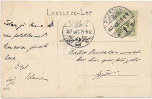 1907 Pozsony, Pressburg, Bratislava; vár, inga hajó / castle, steamship