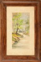 Jelzés nélkül: Vízparti táj. Akvarell, papír, kartonra kasírozva. Foltos. Üvegezett fa keretben. 27x...