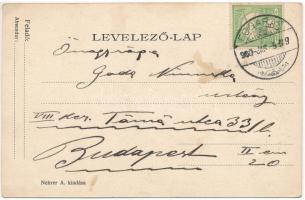 1900 Fogaras, Fagaras; Háner szálloda, Schul Henrich és J. Járos üzlete / hotel, shops (EK)