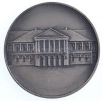 DN "Makó" ezüstpatinázott Br emlékérem eredeti tokban (58mm) T:2,2-