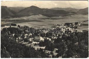 1955 Rajecfürdő, Rajecké Teplice; látkép / general view (fa)