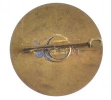 NSZK DN "Látogatás a Bundestag-nál" fém jelvény (30mm) T:2
FRG ND "Visit at the Bund...