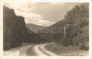 Déményfalvi-völgy, Demanovska Dolina (Alacsony-Tátra, Nízke Tatry); út / road