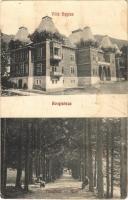 Koritnyica, Korytnica; Villa Hygiea, Fenyősor / villa, promenade (b)