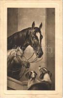 1911 Dogs and horses (EK)