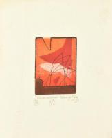 Korányi Gábor (1952-), 4 db mű egy keretben: Icaros (Ikaros) variáció I-IV., 1991. Színes rézkarc, m...