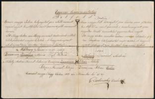 1883, Nagy-Lak, Csanád megye, kézzel írt egyenes leszármaztatás