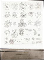 Népművészeti Bolt fotónegatívjai, 14 db, 6x7,5 cm-től, 6x12 cm-ig