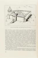 Veress D. Csaba: A három Pécsely története. A község története a magyar honfoglalástól napjainkig. V...