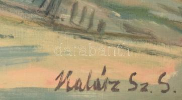 Halász Szabó Sándor (1920-1997): Badacsonyi részlet. Olaj, vászon, jelzett, keretben. 60x80 cm