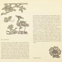Műhelytitkok 2 kötete: Szenes Zsuzsa: Kelmék és hímzések.;Csiba Éva: Bőrművesség. Bp.,1974-1978,Corv...