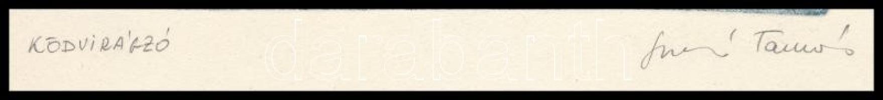 Soós Tamás (1955-): Ködvirágzó. Dombornyomás, rézkarc, papír. Jelzett. 30x17 cm