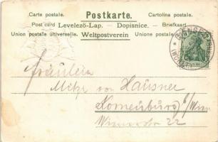 Giengen an der Brenz, Memmingerthorstrasse / street. Gustav Rödter 24. Art Nouveau, coat of arms, em...