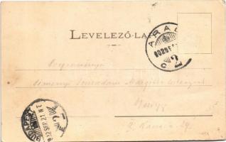 1902 Arad, Szabadság tér, piac, üzletek. Kerpel Izsó kiadása / square, market, shops (EK)