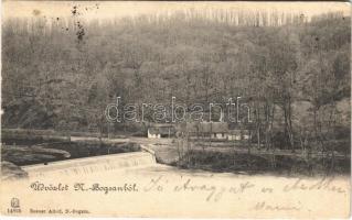 1902 Boksánbánya, Németbogsán, Deutsch-Bogsan, Bocsa Montana; gát. Rosner Adolf kiadása / dam (ázott sarkak / wet corners)