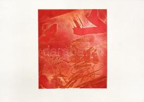 Pana Thuly (?-): Vörös világ (cím nélkül). Akvatinta, papír. Jelzett. Autográf ajándékozási sorokkal...