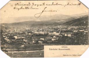 1909 Bozovics, Bozovici; látkép. Stanojlovics Gábor kiadása / general view (lyukak és levágott sarkak / pinholes and cut corners)