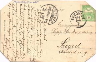 1909 Bozovics, Bozovici; látkép. Stanojlovics Gábor kiadása / general view (lyukak és levágott sarka...