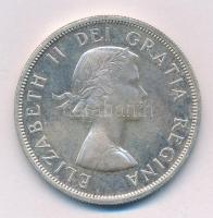 Kanada 1959. 1$ Ag II. Erzsébet T:2 kis patina Canada 1959. 1 Dollar Ag Elizabeth II C:XF small patina Krause KM#54