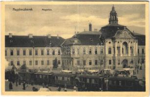 1909 Nagybecskerek, Zrenjanin, Veliki Beckerek; Megyeház a Nagybecskerek-Zsombolya kisvasúttal, gőzmozdony, vonat, piaci árusok, vásár / county hall, Veliki Beckerek-Jimbolia urban railway, train, locomotive, market vendors