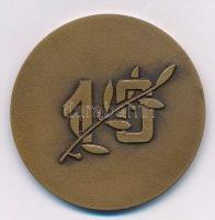 DN "Tanárképző Főiskoláért / 10" Br emlékérem (40mm) T:1-