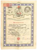 1914-29, 2 db okmány:  M. Kir- Állmavasutak fényképes igazolvány, 1914 + Budapesti Sokszorosító Ipar...