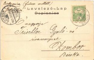 1902 Crikvenica, Cirkvenica; Ladislavov djecji dom / Kastel-Kinderheim / children's home, orpha...