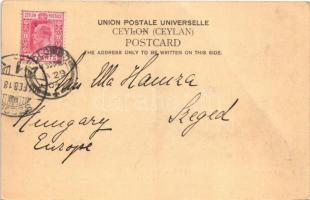 1904 Colombo, Breakwater