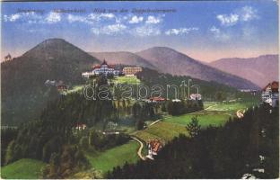 Semmering, Südbahnhotel, Blick von der Doppelreiterwarte / hotel, general view