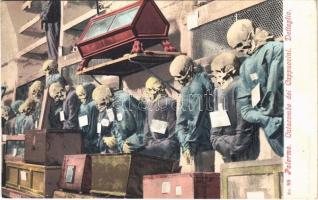 Palermo, Catacombe dei Cappuccini, Dettaglio / Capuchin Catacombs, skeletons