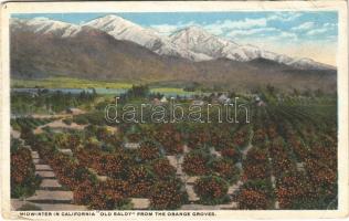 1920 California, Midwinter in California, Old Baldy from the Orange Groves (EB)