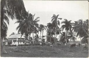 Suriname, Das Wohnhaus der Plantage Leasowes / plantation (EK)