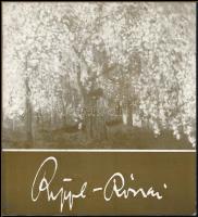 Rippl-Rónai állandó kiállítás. Kaposvár. Róma-hegy. Kaposvár, é.n., Somogy-megyei Nyomdaipari Vállalat. Rippl-Rónai József műveinek fekete-fehér reprodukcióival gazdagon illusztrált. Kiadói papírkötés.