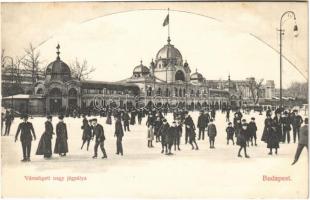 Budapest XIV. Városligeti nagy jégpálya, korcsolyázók télen. Divald Károly 1065-1909.