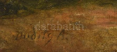 Dudits Andor (1866-1944): Hölgy a dombtetőn. Olaj, vászon, jelzett. Fa keretben. 72,5x62,5 cm/ Andor...